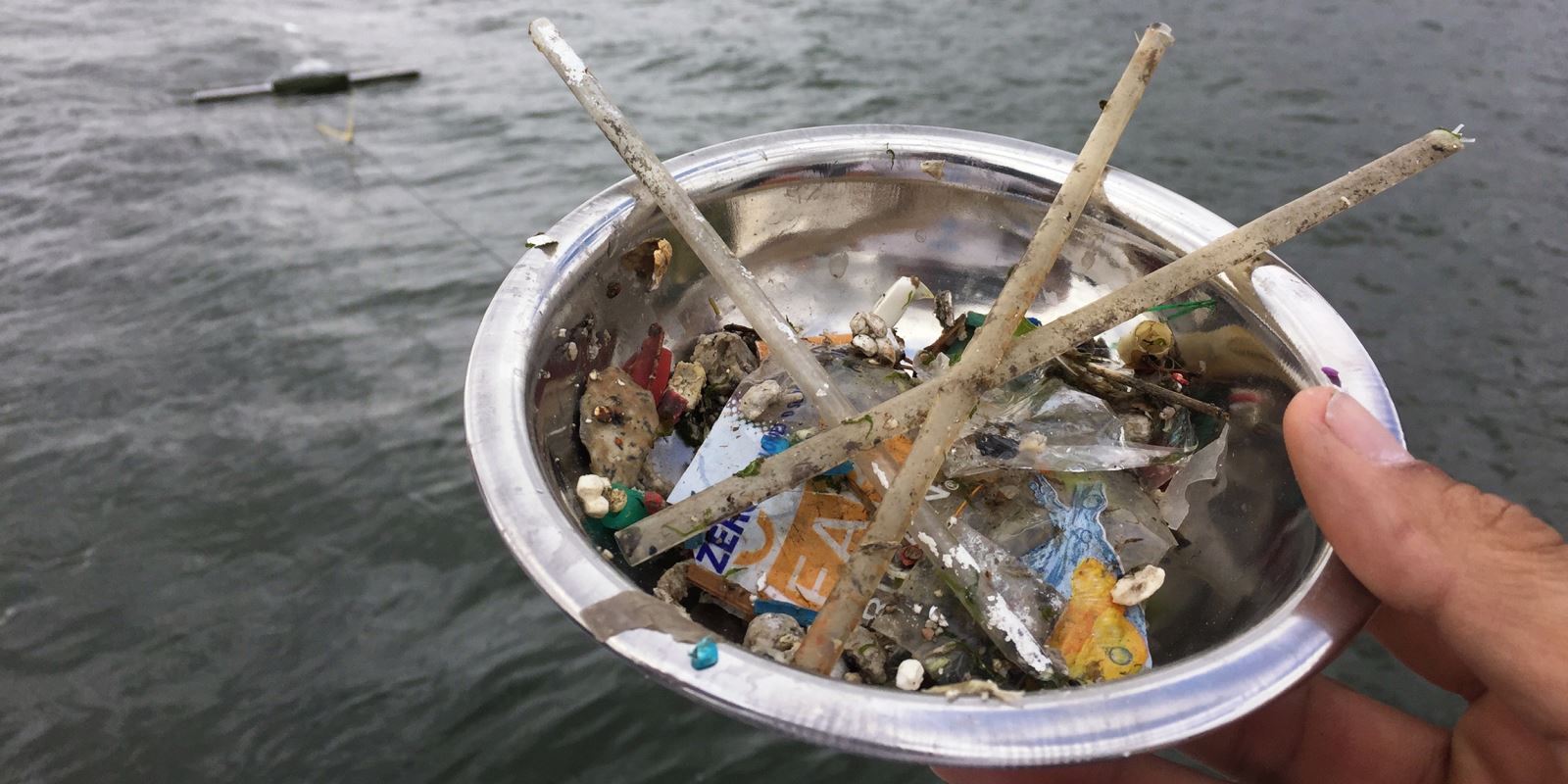 Quantifying Plastic Pollution Firsthand in NYC