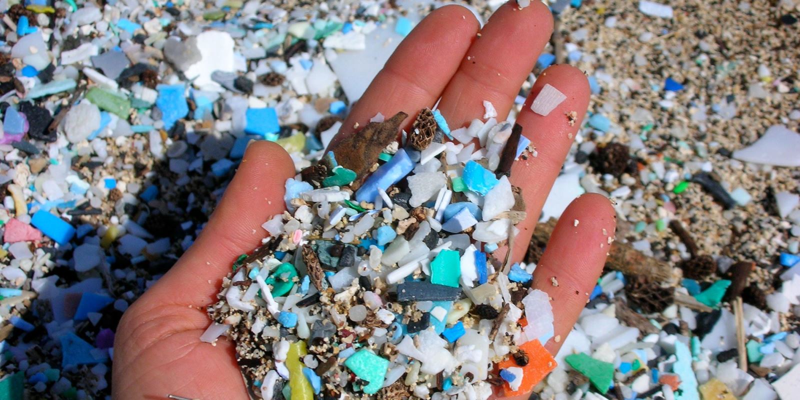 Microplastics in a handful of beach sand