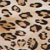 Leopard - Brown