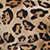 Leopard - Multi